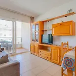 Ba - Windsor Palace 15 Blanes